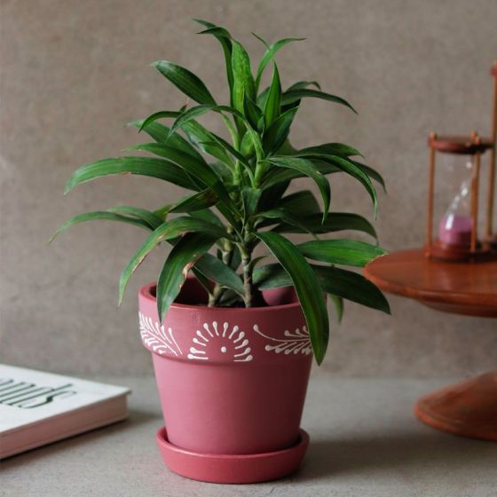 Unravel India "Swirl Motif" maroon handmade & handpainted planter pot with tray in terracotta