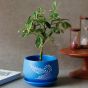 Unravel India "Flower Motif" blue handmade & handpainted planter pot with tray in terracotta