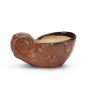 Unravel India Ceramic Snail Brown Planter