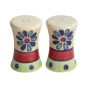 Unravel India "Flower Petals" handpainted ceramic salt & pepper set