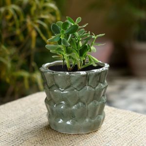 Unravel India ceramic glazed studio grey bucket table top planter