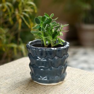 Unravel India ceramic glazed studio blue bucket table top planter