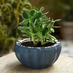 Unravel India ceramic glazed studio blue bowl table top planter