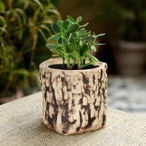Unravel India ceramic matte finish wooden texure cylindrical table top planter